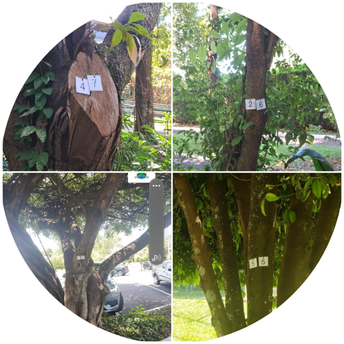 Design sem nome (1).png