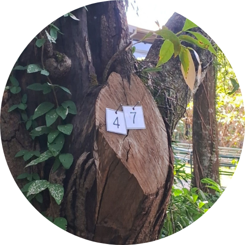 Design sem nome (2).png